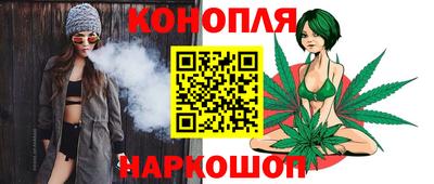 дмт Новокубанск
