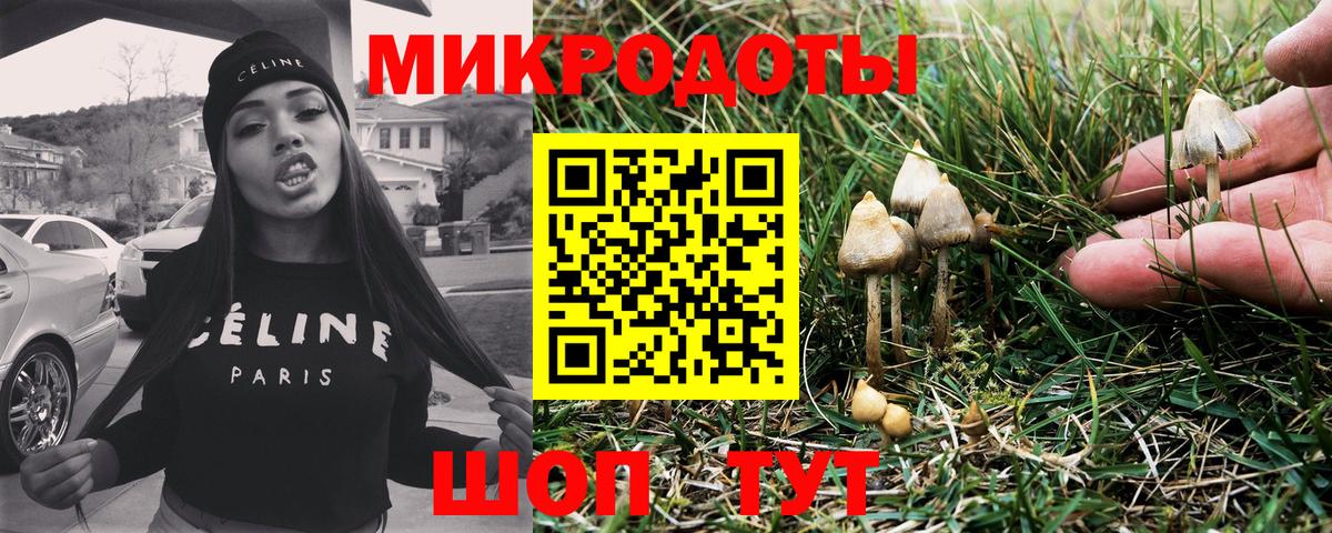 Псилоцибиновые грибы мицелий Узловая