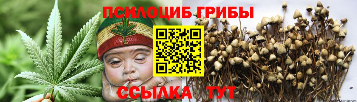 Галлюциногенные грибы MAGIC MUSHROOMS  наркота  Узловая  Вход с VPN 